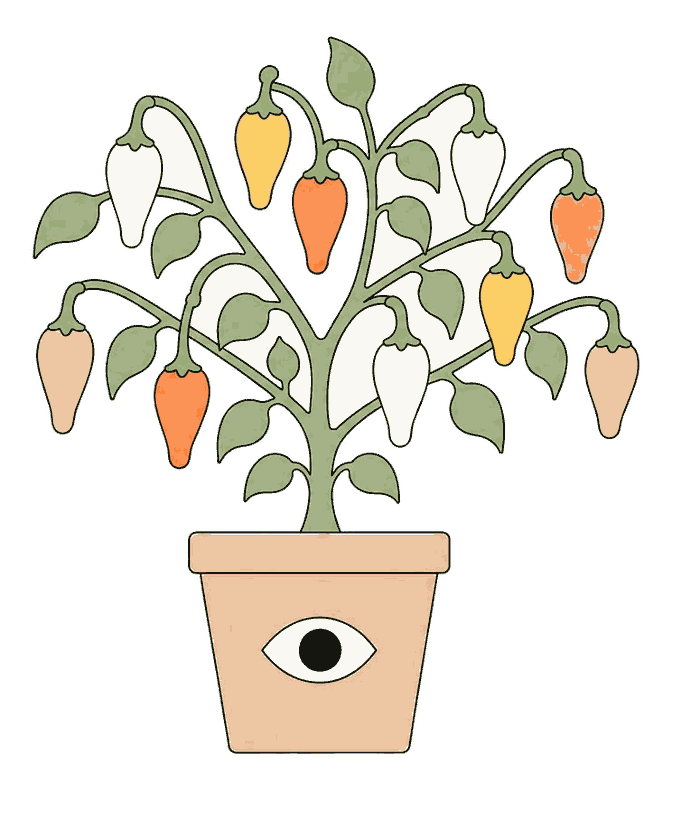 Illustratie van een peperplant in een terracotta pot met oog-motief